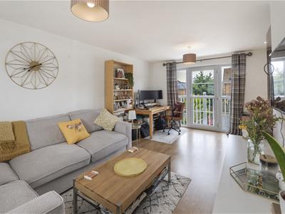 Picture 7